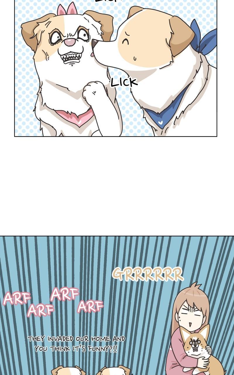 The Dog Diaries Chap 113 - Next Chap 114