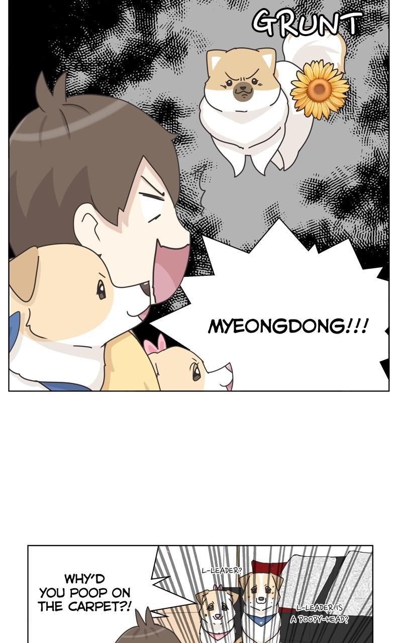 The Dog Diaries Chap 113 - Next Chap 114