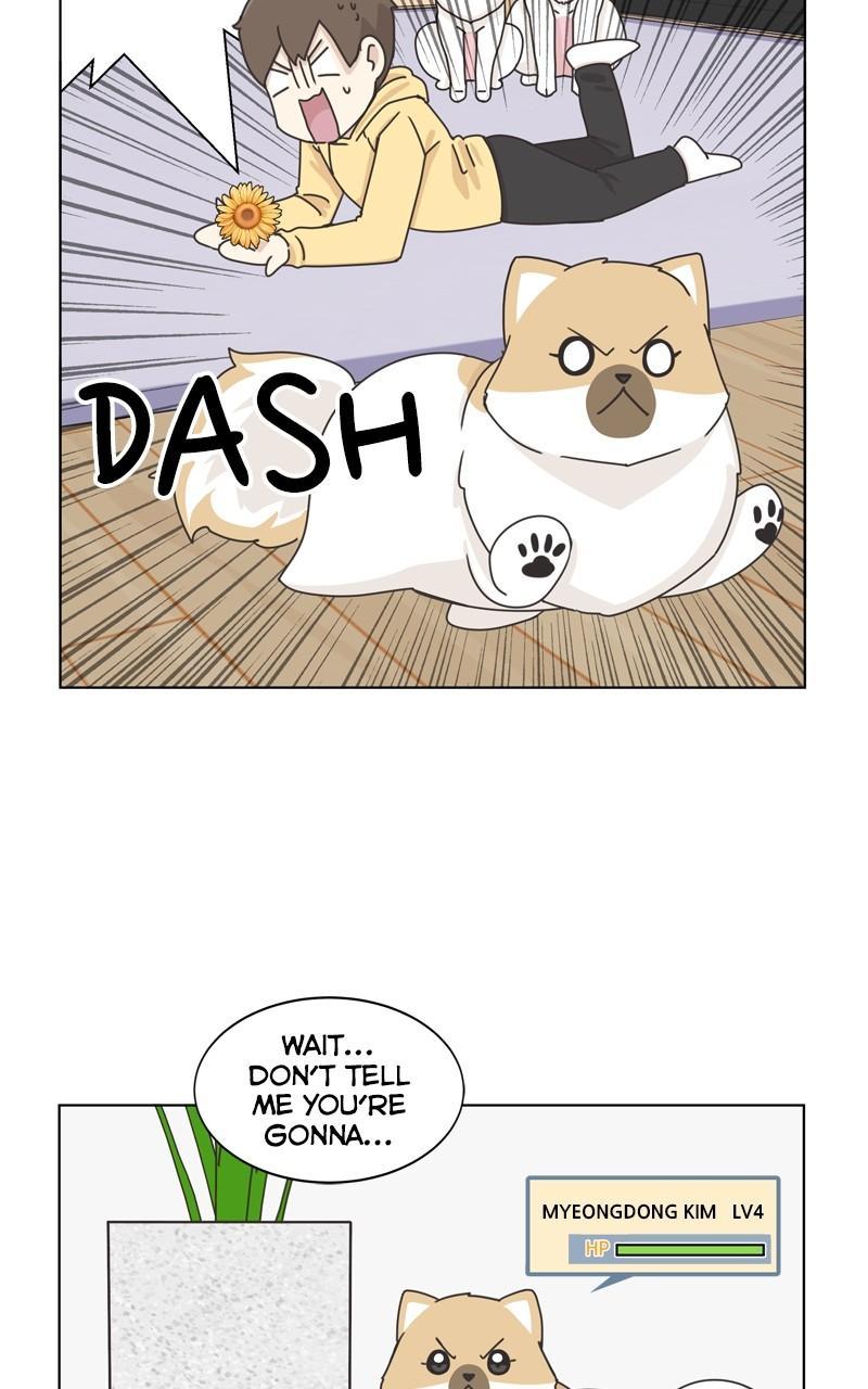 The Dog Diaries Chap 113 - Next Chap 114