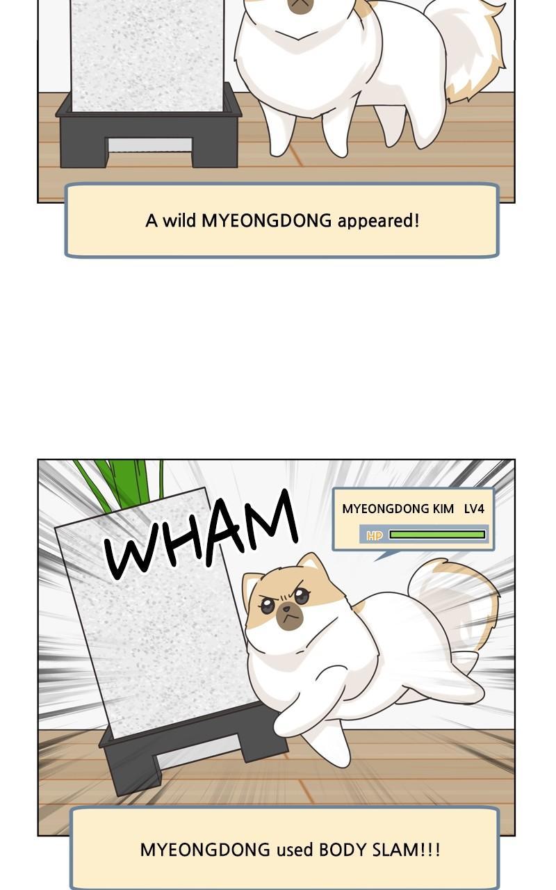 The Dog Diaries Chap 113 - Next Chap 114