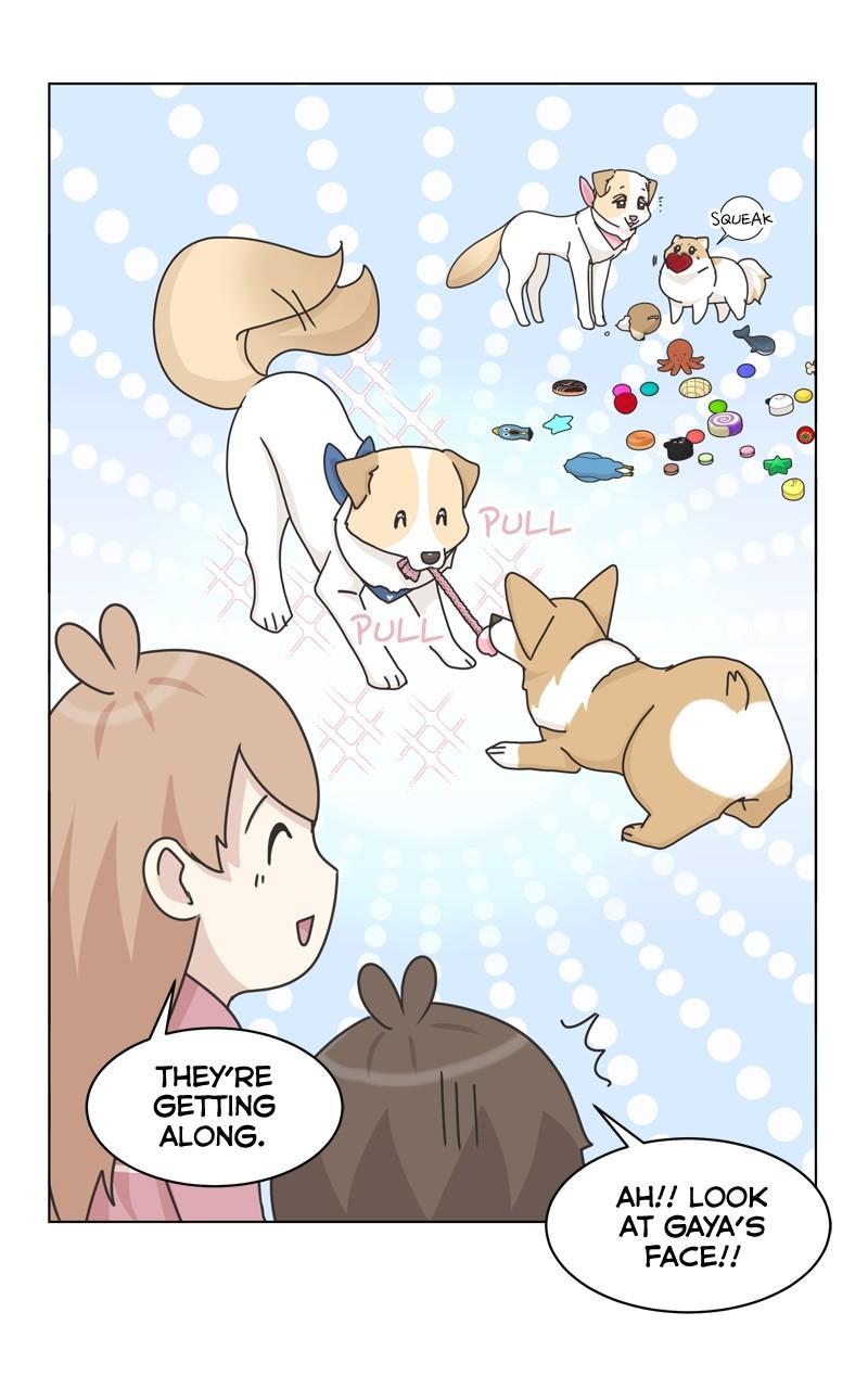 The Dog Diaries Chap 113 - Next Chap 114