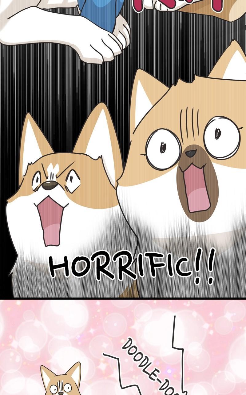 The Dog Diaries Chap 113 - Next Chap 114