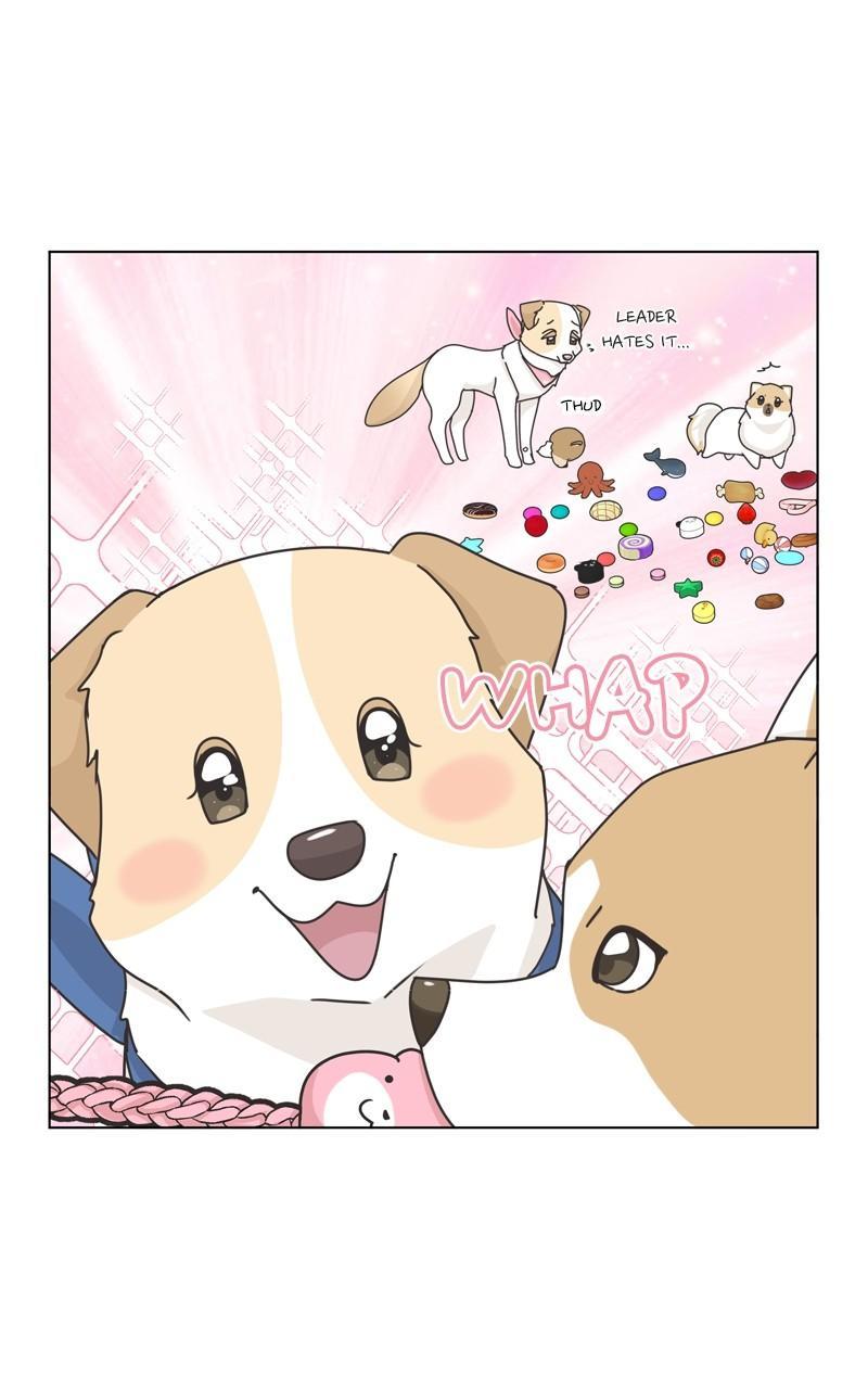 The Dog Diaries Chap 113 - Next Chap 114