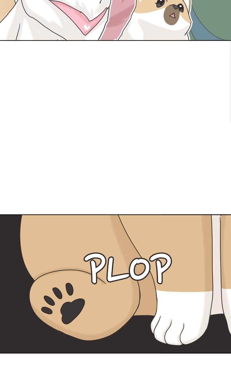 The Dog Diaries Chap 113 - Next Chap 114