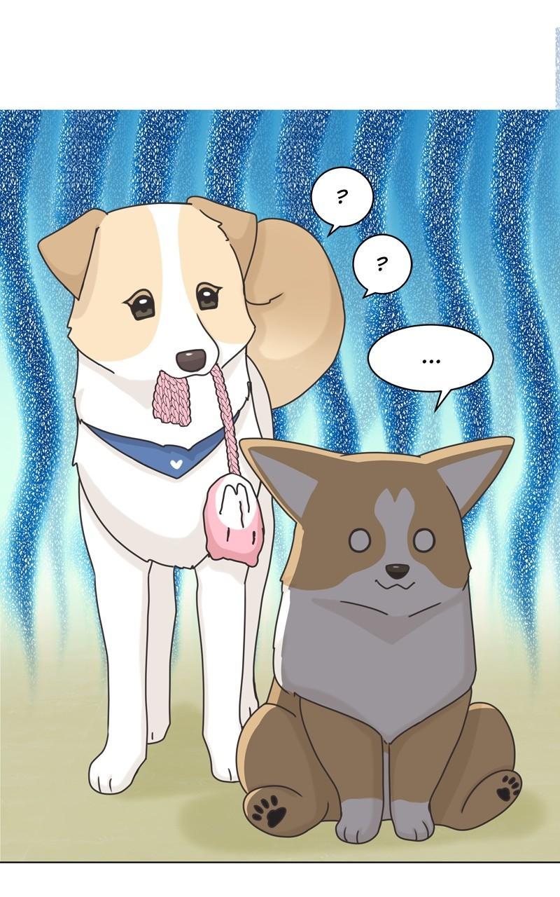 The Dog Diaries Chap 113 - Next Chap 114