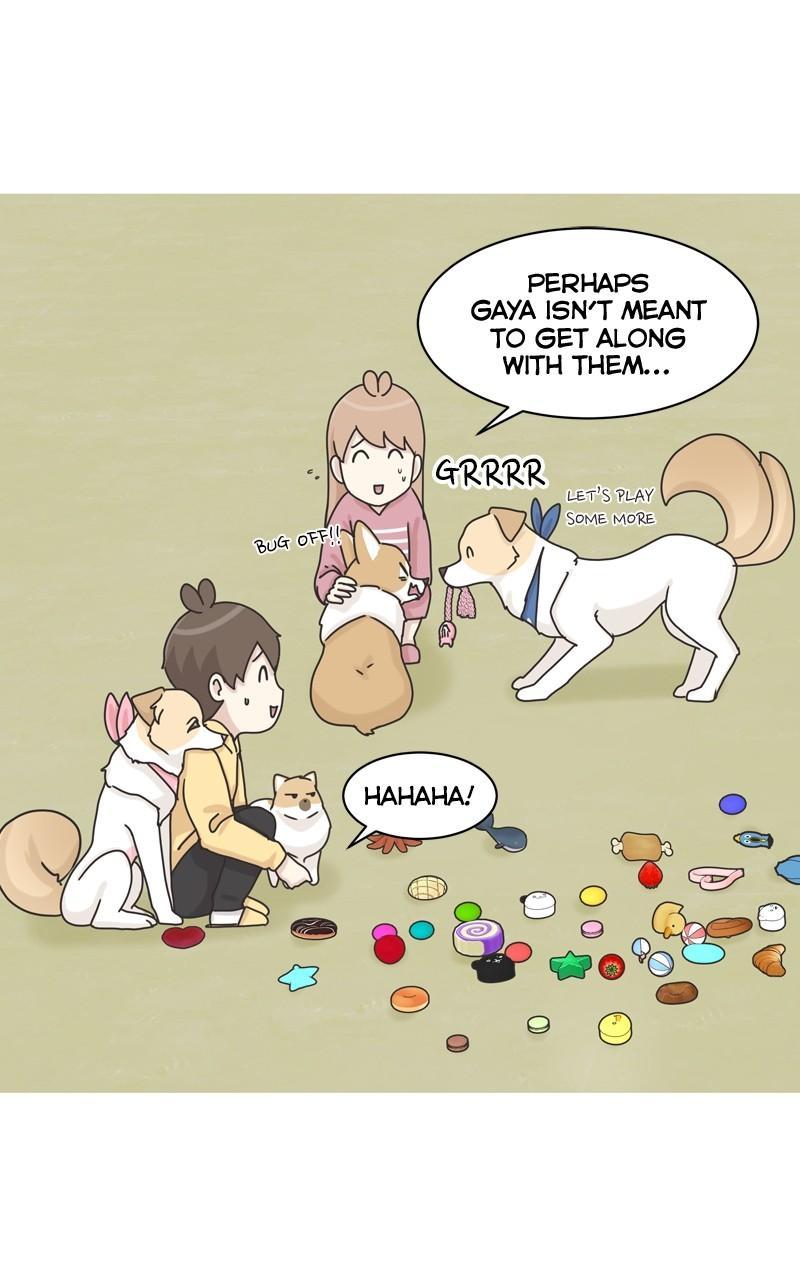 The Dog Diaries Chap 113 - Next Chap 114