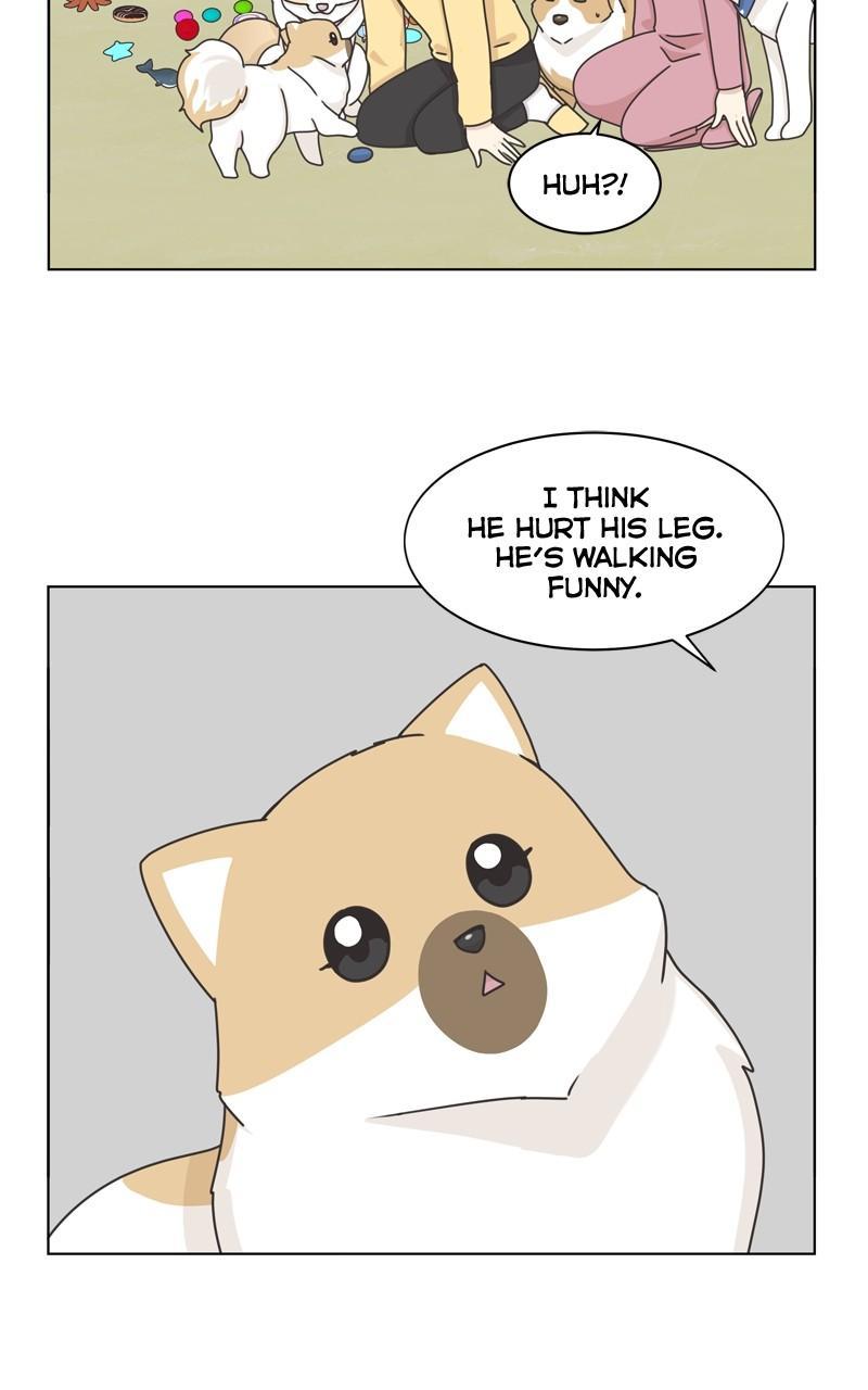 The Dog Diaries Chap 113 - Next Chap 114
