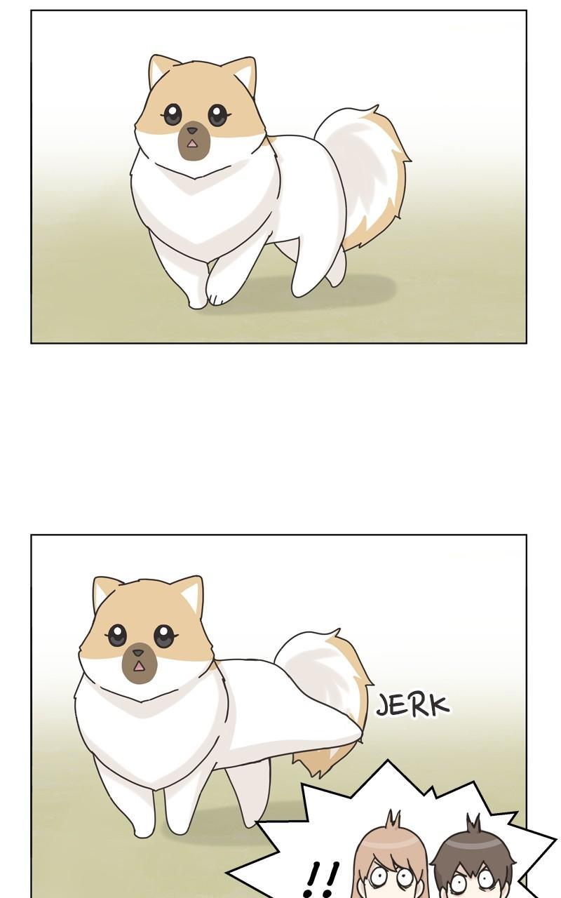 The Dog Diaries Chap 113 - Next Chap 114