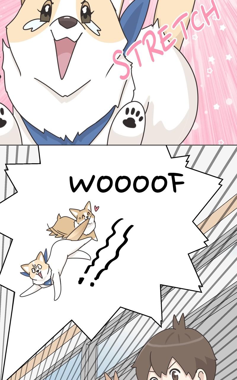 The Dog Diaries Chap 114 - Next Chap 115