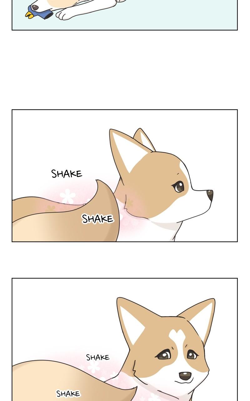 The Dog Diaries Chap 114 - Next Chap 115