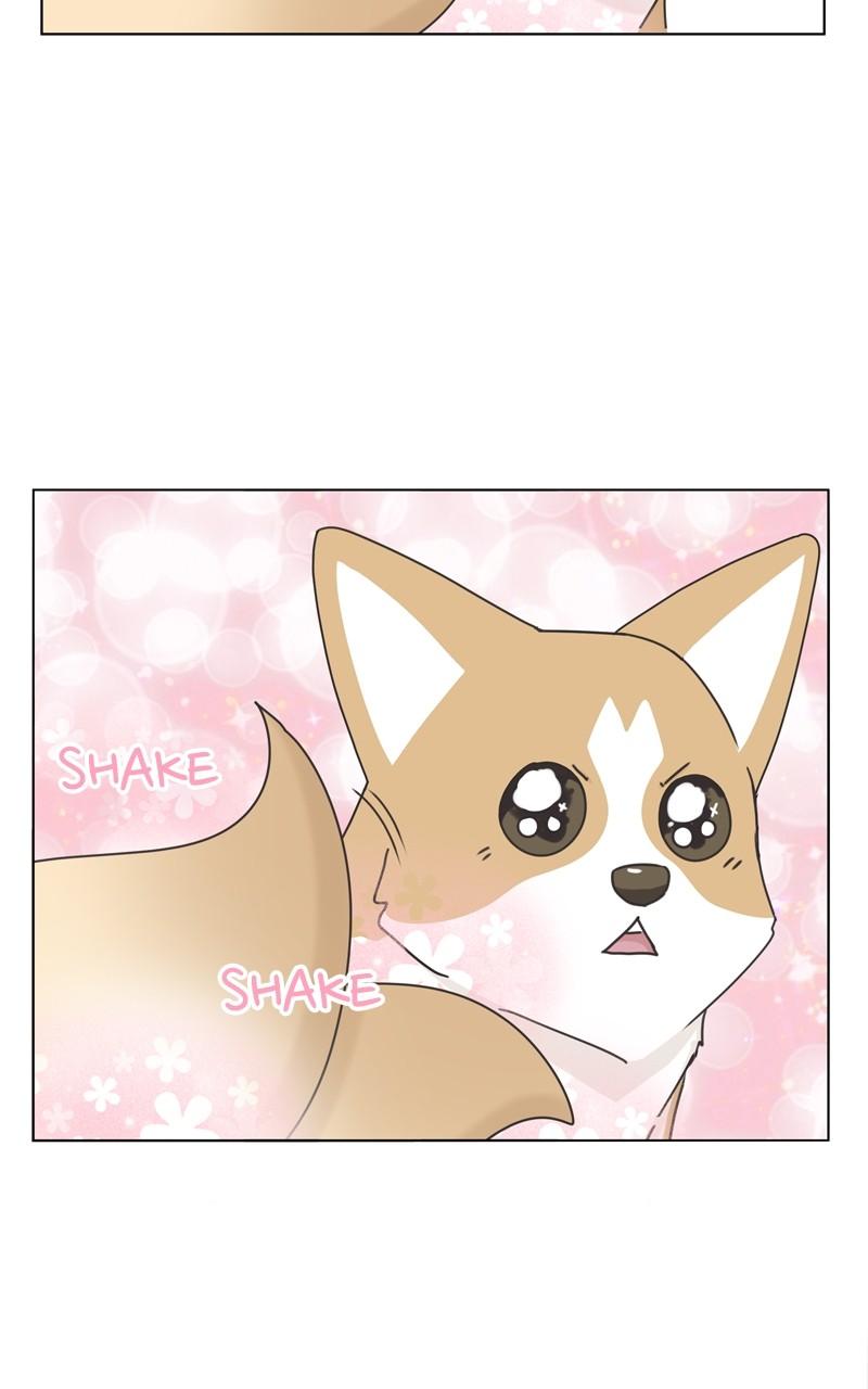The Dog Diaries Chap 114 - Next Chap 115