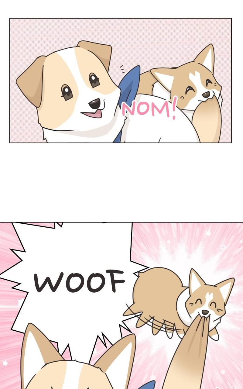The Dog Diaries Chap 114 - Next Chap 115