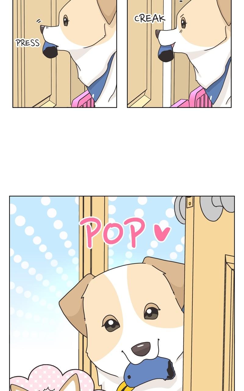 The Dog Diaries Chap 114 - Next Chap 115