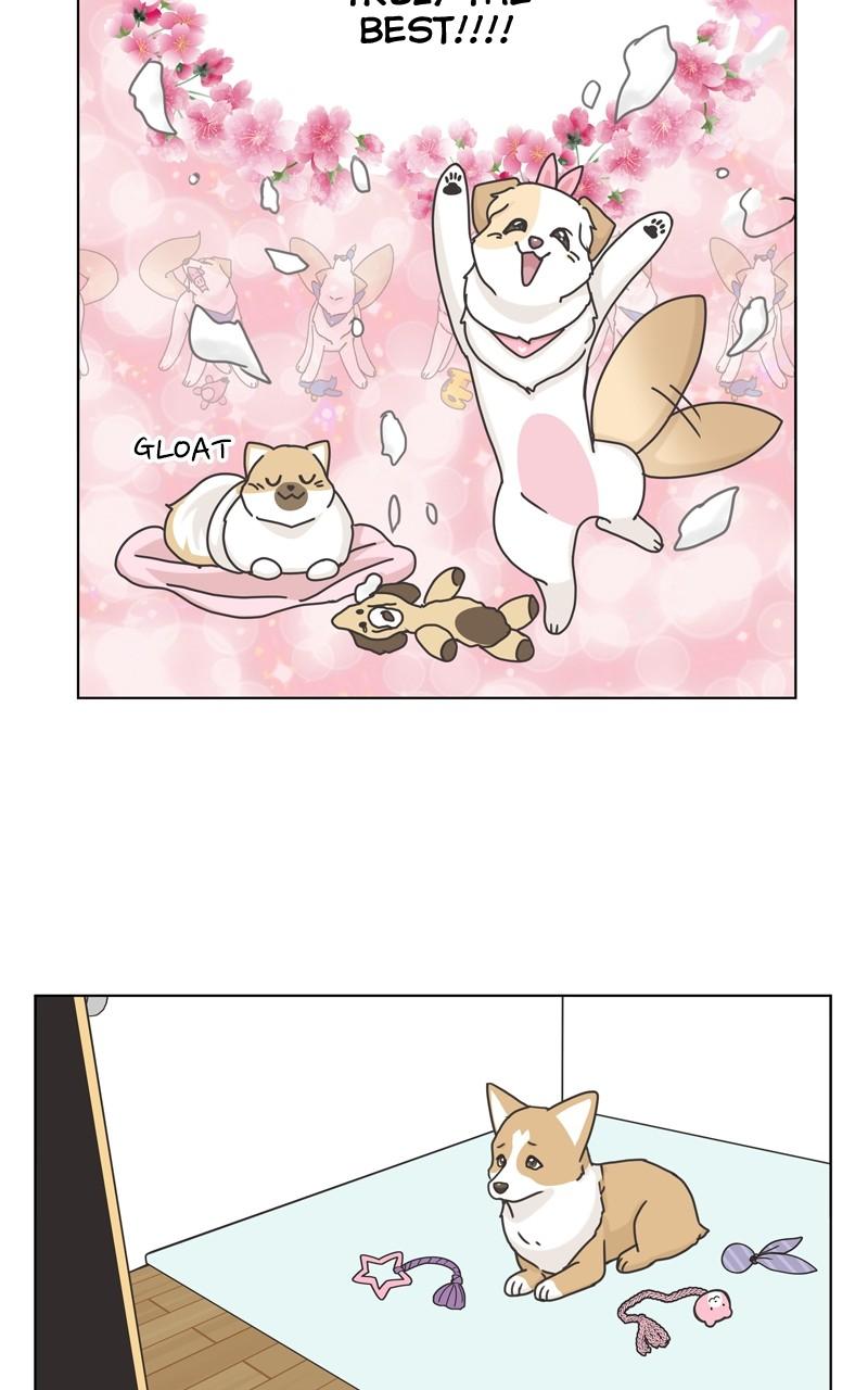 The Dog Diaries Chap 114 - Next Chap 115