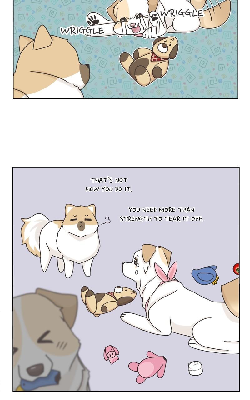 The Dog Diaries Chap 114 - Next Chap 115