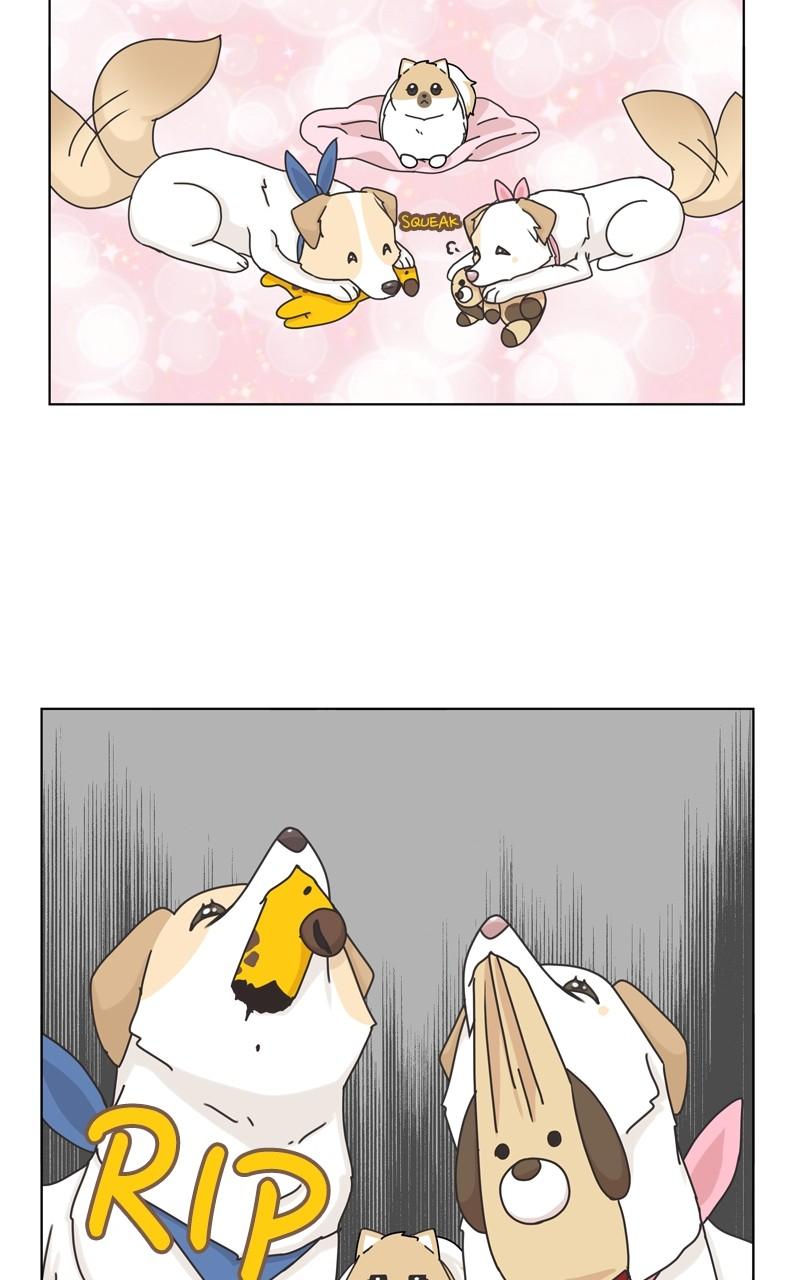 The Dog Diaries Chap 114 - Next Chap 115