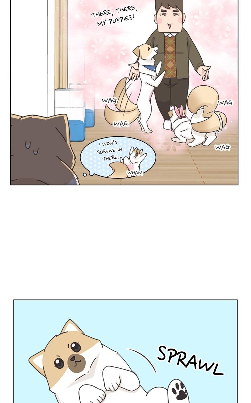 The Dog Diaries Chap 114 - Next Chap 115