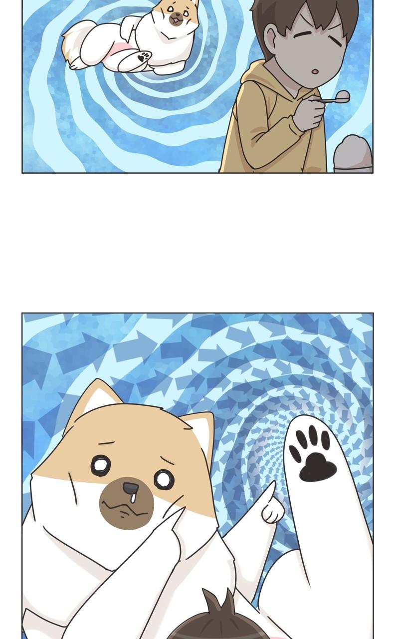 The Dog Diaries Chap 114 - Next Chap 115