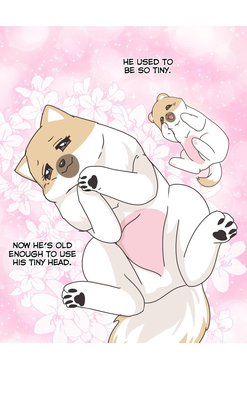 The Dog Diaries Chap 116 - Next Chap 117