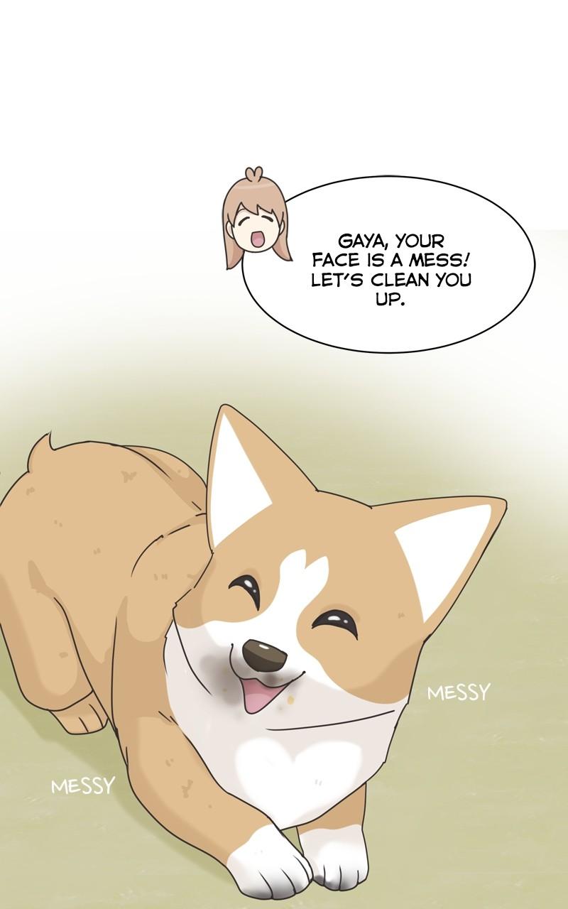 The Dog Diaries Chap 116 - Next Chap 117