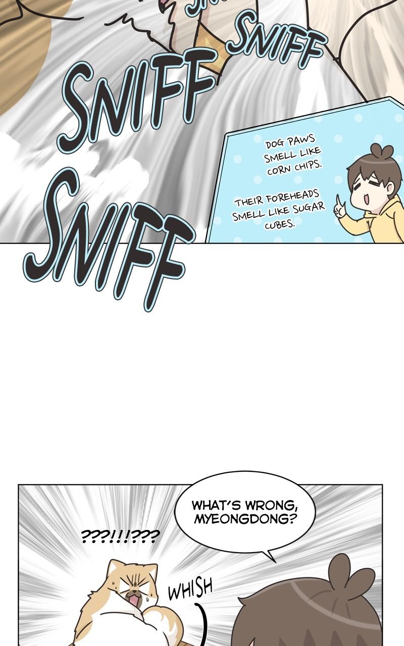 The Dog Diaries Chap 116 - Next Chap 117