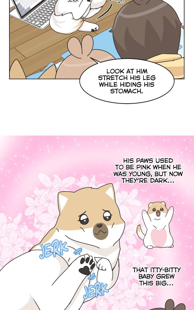 The Dog Diaries Chap 116 - Next Chap 117
