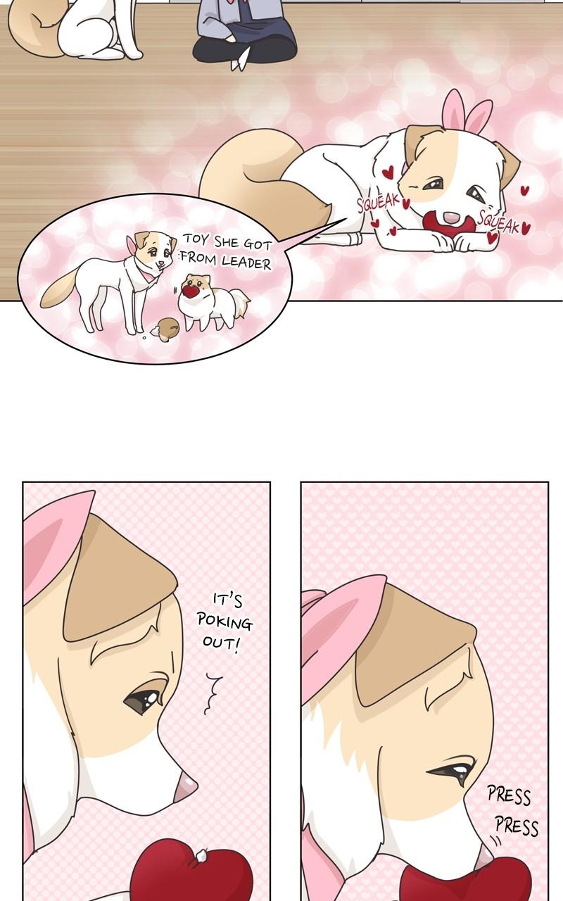 The Dog Diaries Chap 116 - Next Chap 117