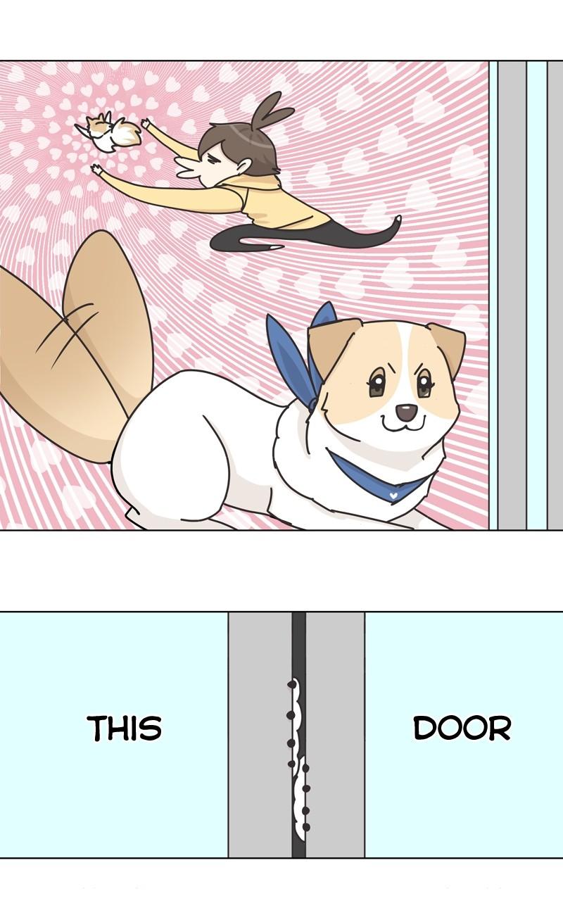 The Dog Diaries Chap 116 - Next Chap 117