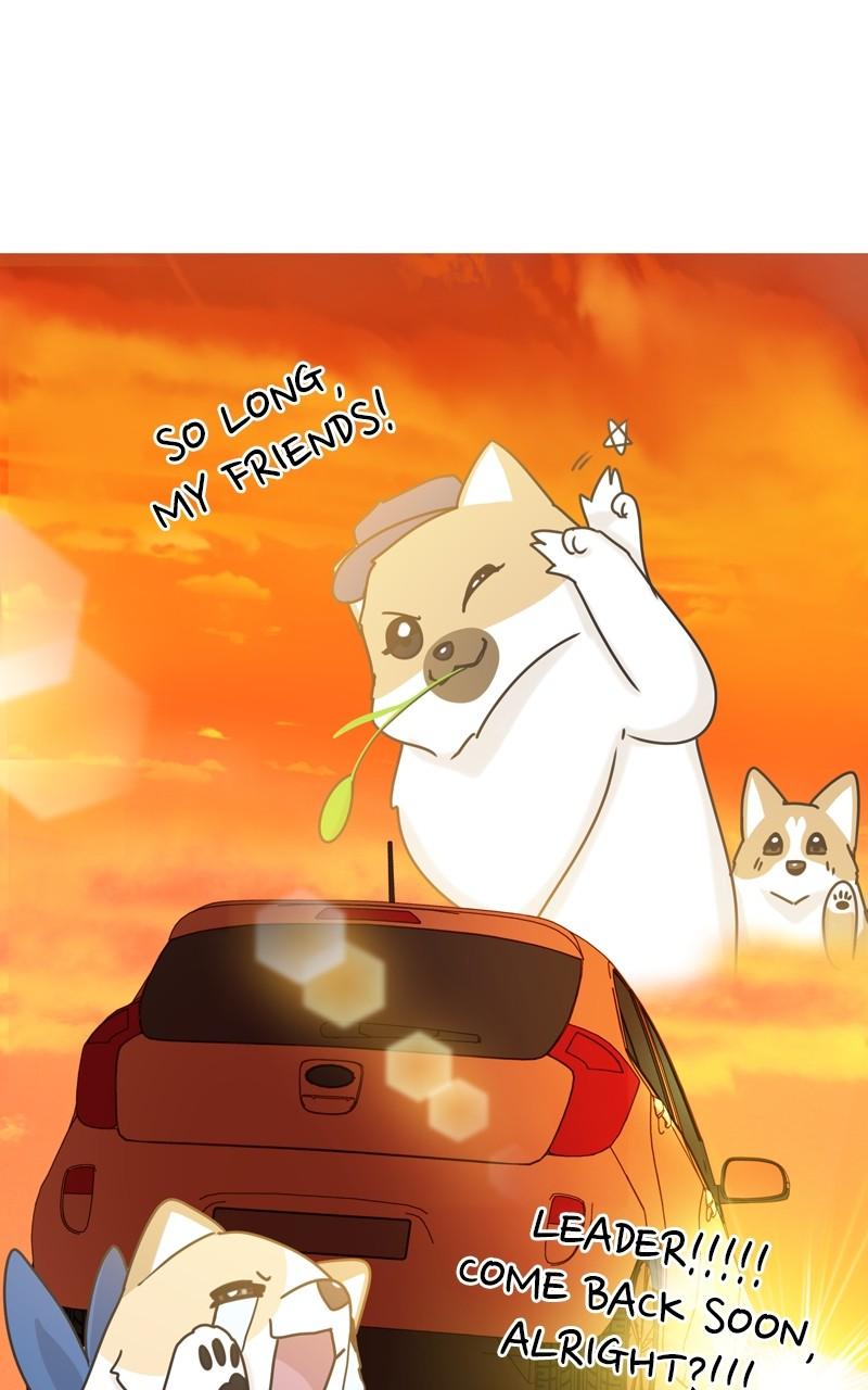 The Dog Diaries Chap 116 - Next Chap 117