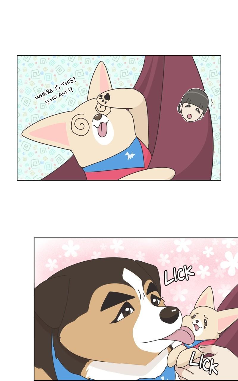 The Dog Diaries Chap 116 - Next Chap 117