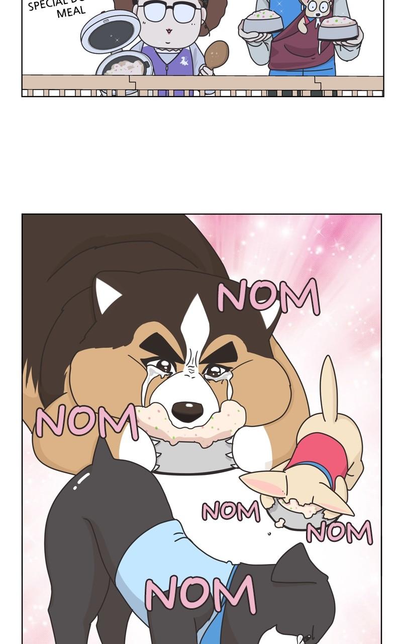 The Dog Diaries Chap 117 - Next Chap 118