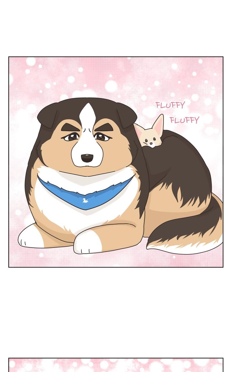 The Dog Diaries Chap 117 - Next Chap 118