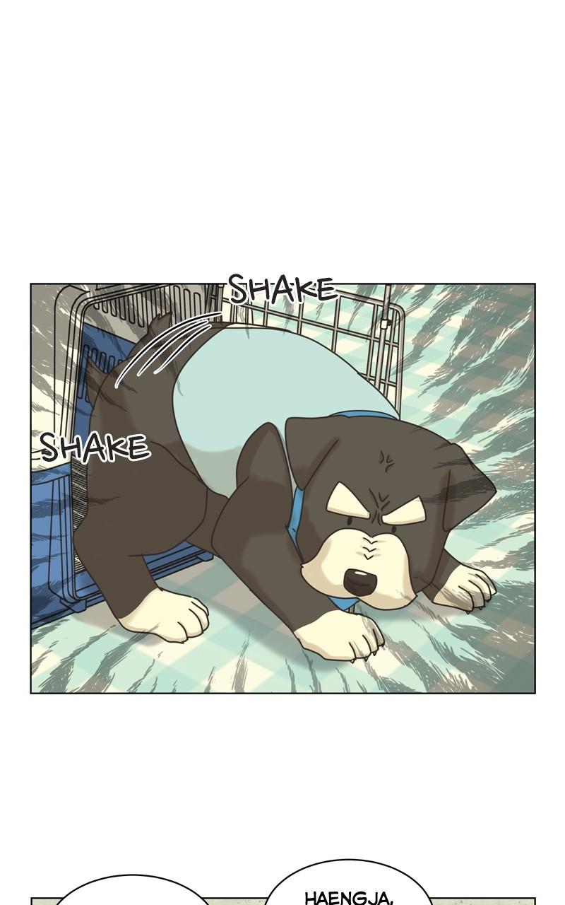 The Dog Diaries Chap 117 - Next Chap 118