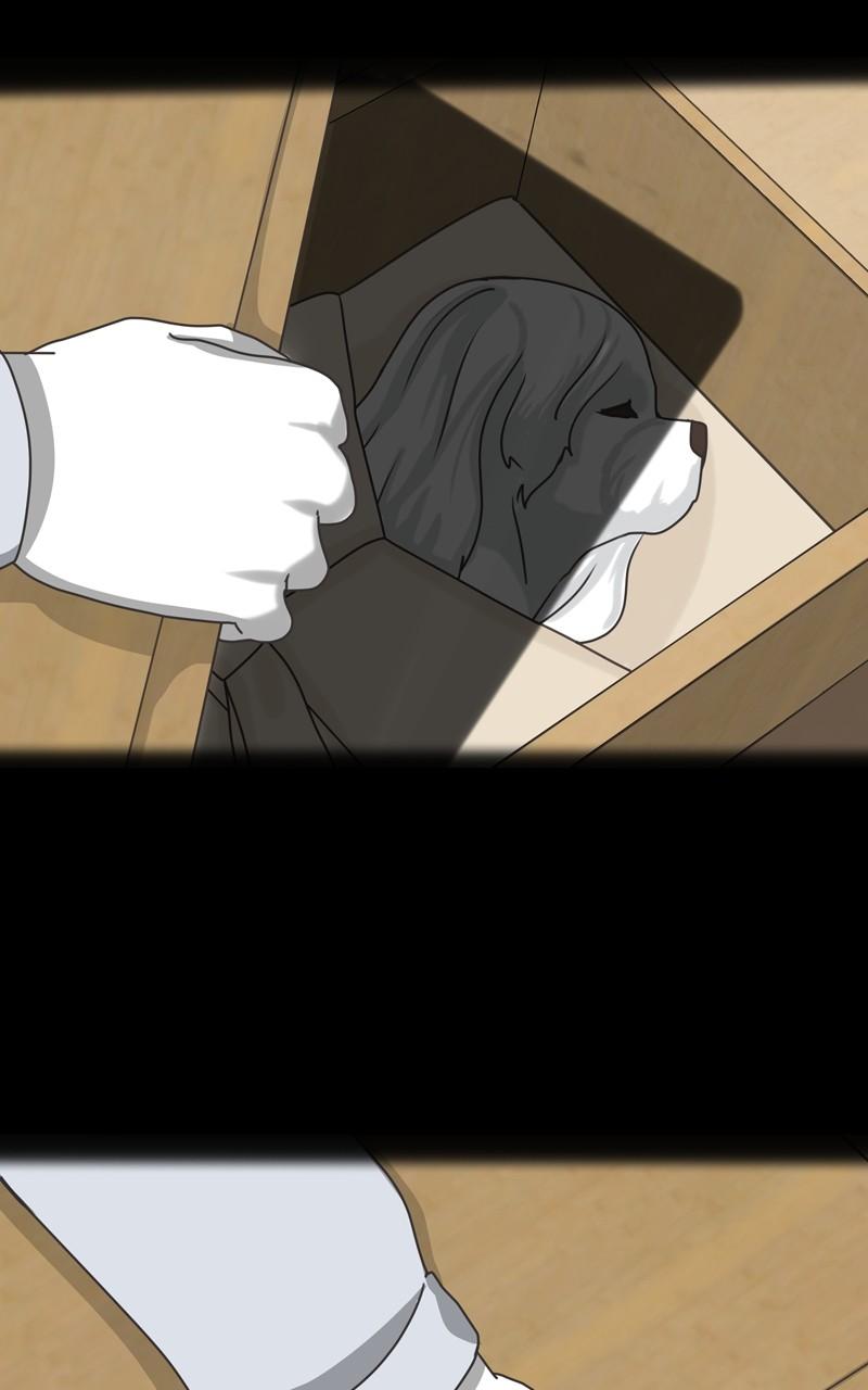 The Dog Diaries Chap 108 - Next Chap 109