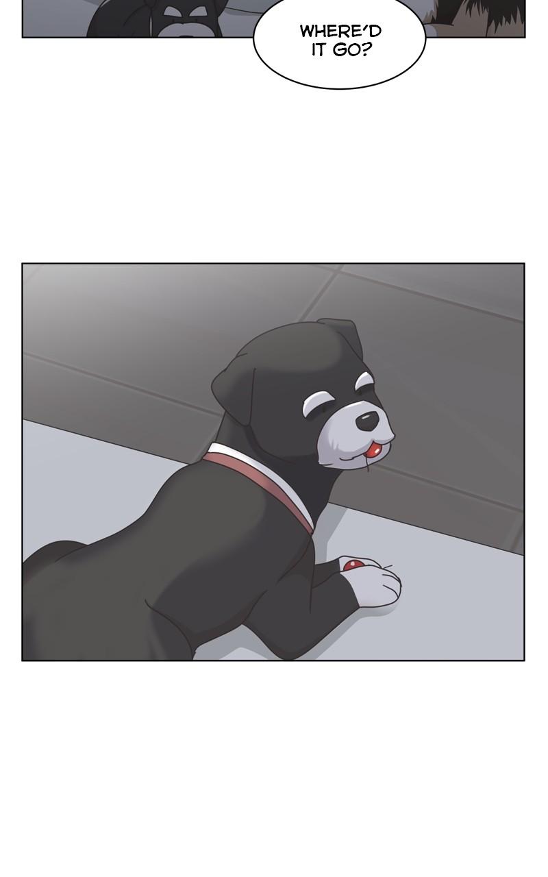 The Dog Diaries Chap 108 - Next Chap 109