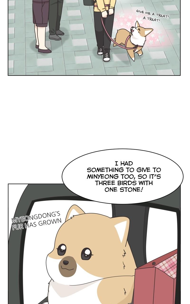 The Dog Diaries Chap 109 - Next Chap 110