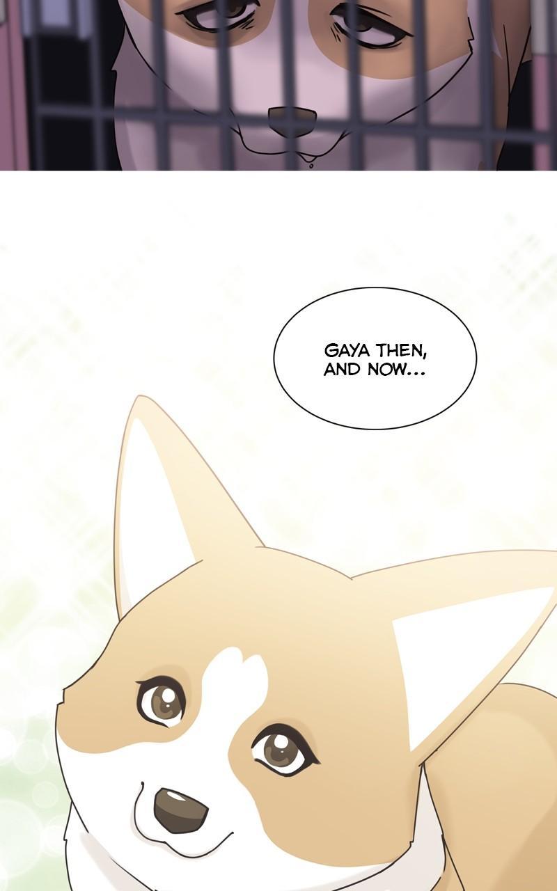 The Dog Diaries Chap 110 - Next Chap 111