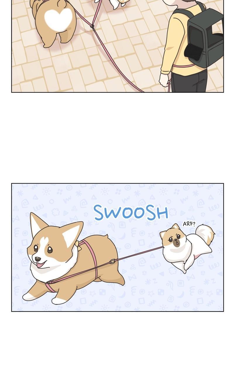 The Dog Diaries Chap 111 - Next Chap 112