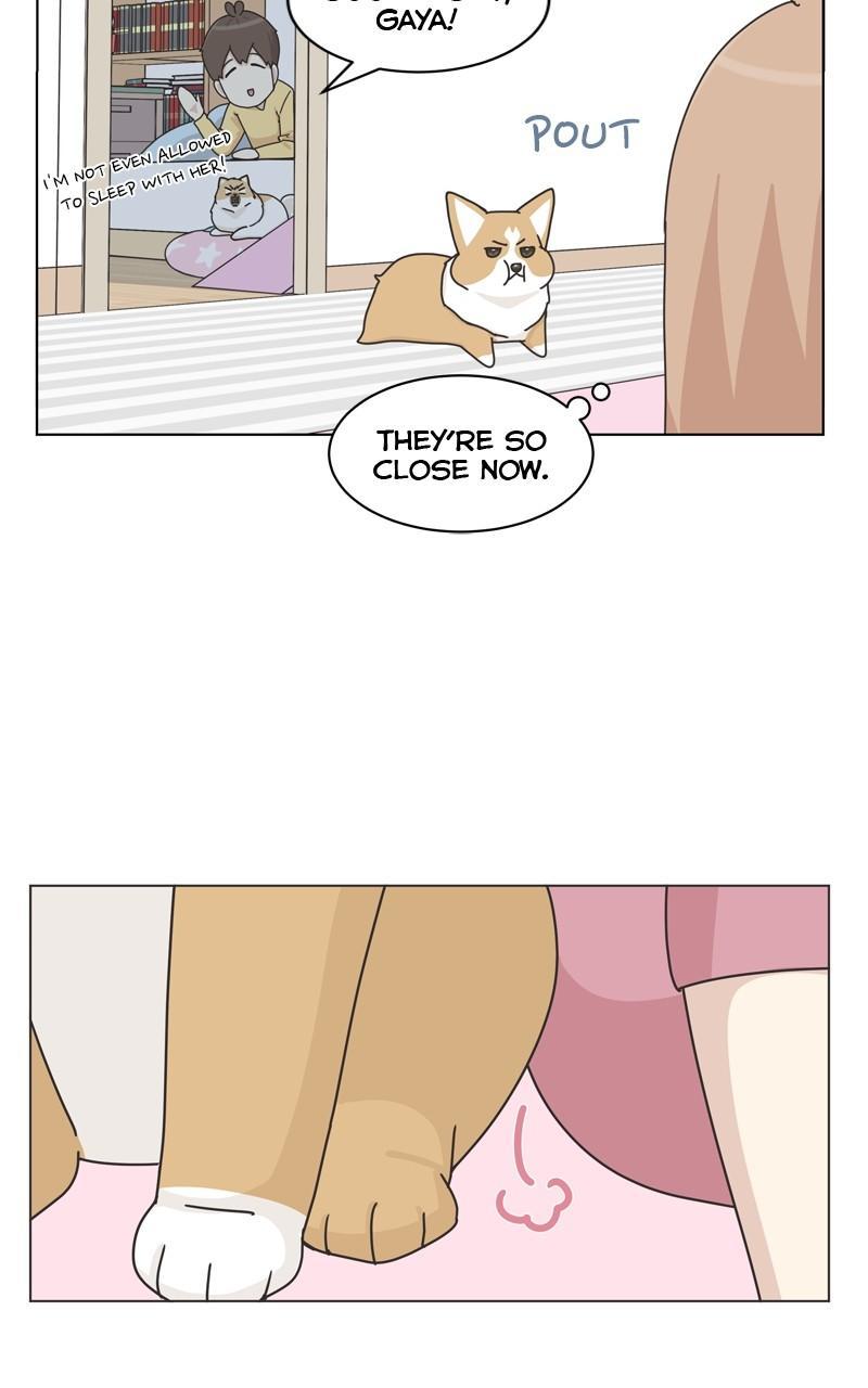 The Dog Diaries Chap 111 - Next Chap 112