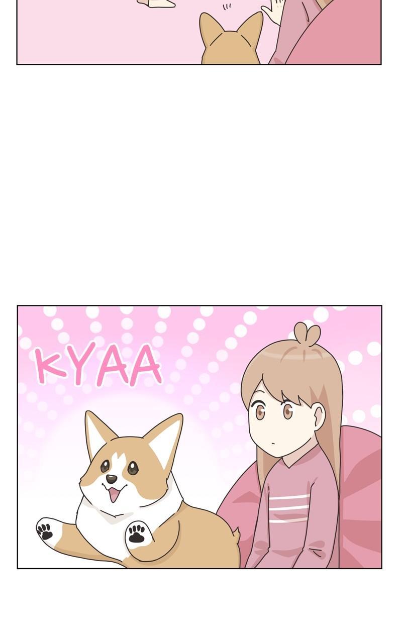 The Dog Diaries Chap 111 - Next Chap 112