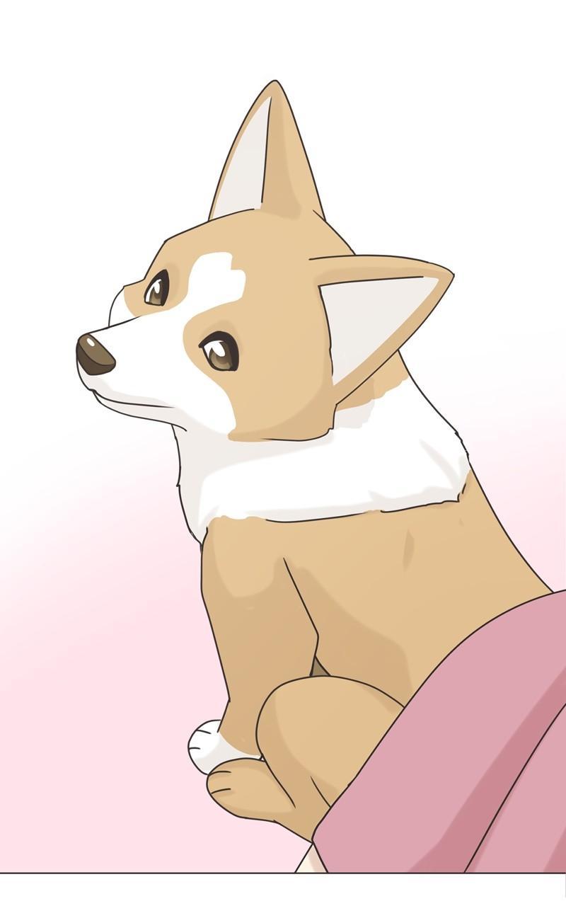 The Dog Diaries Chap 111 - Next Chap 112