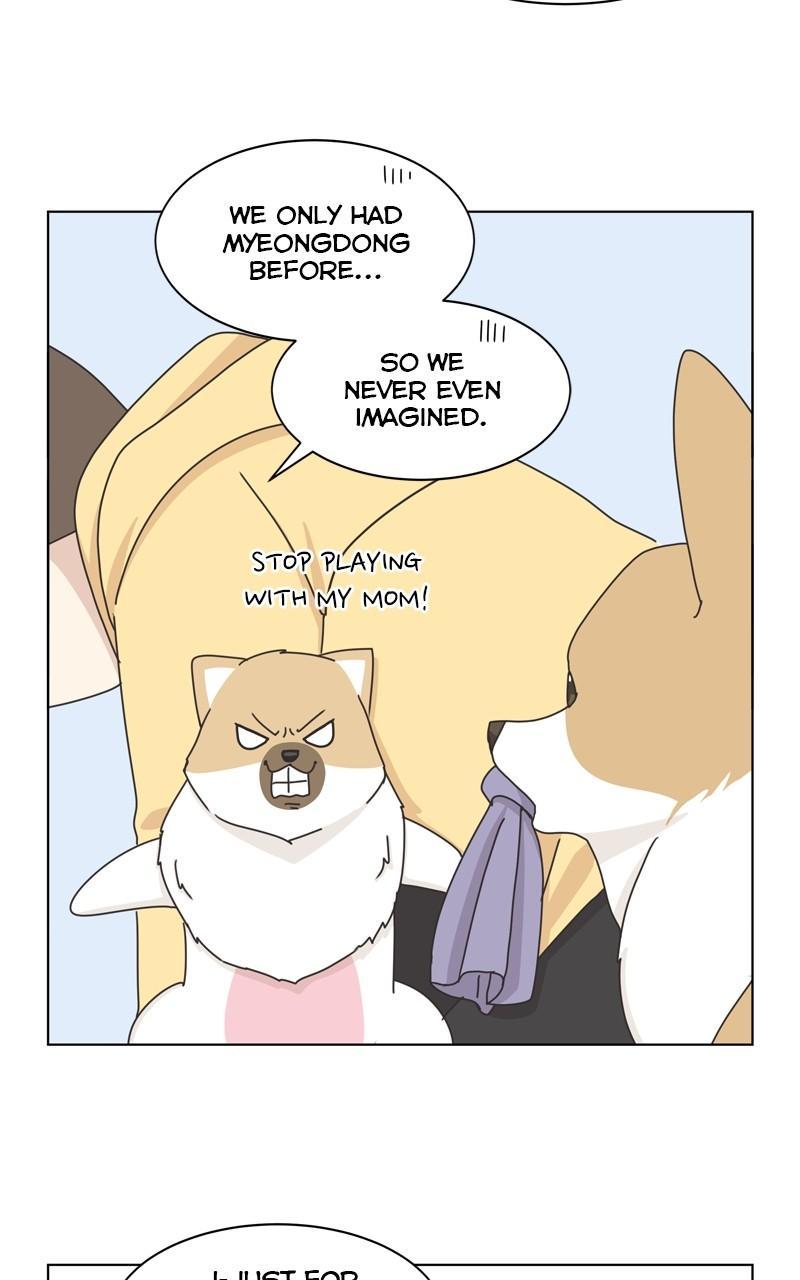The Dog Diaries Chap 111 - Next Chap 112