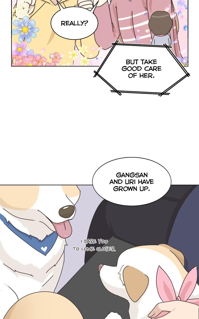 The Dog Diaries Chap 111 - Next Chap 112