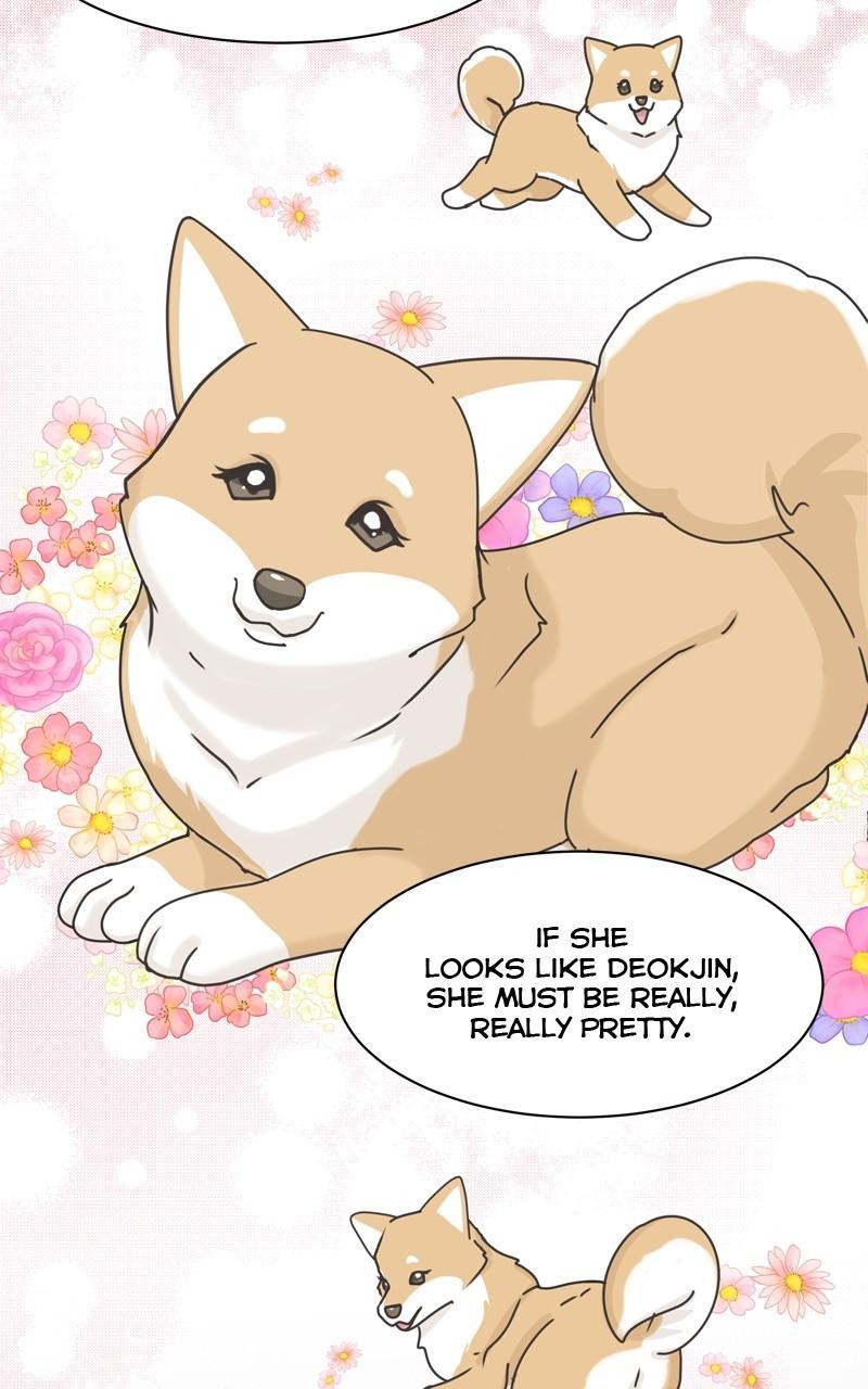 The Dog Diaries Chap 111 - Next Chap 112