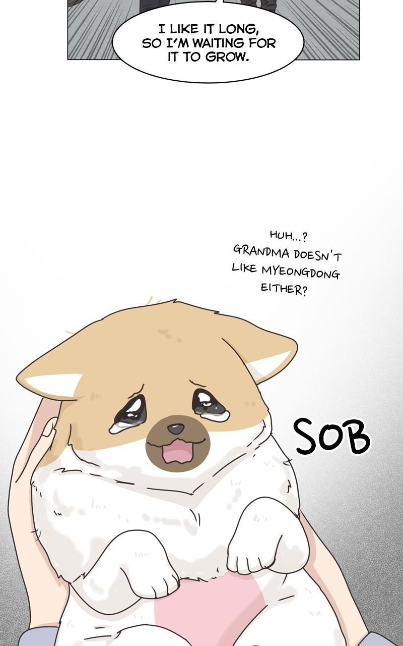 The Dog Diaries Chap 111 - Next Chap 112