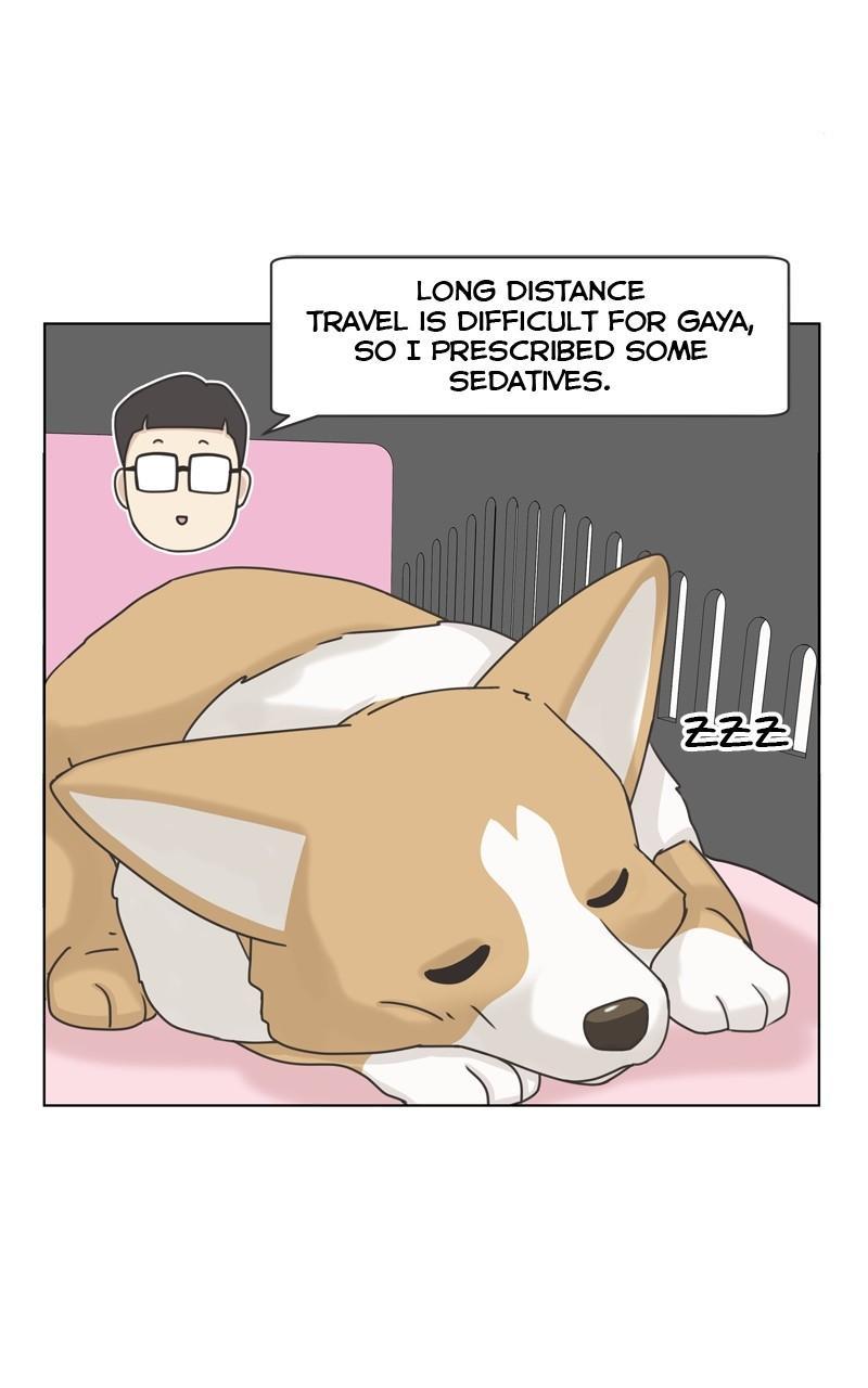 The Dog Diaries Chap 111 - Next Chap 112