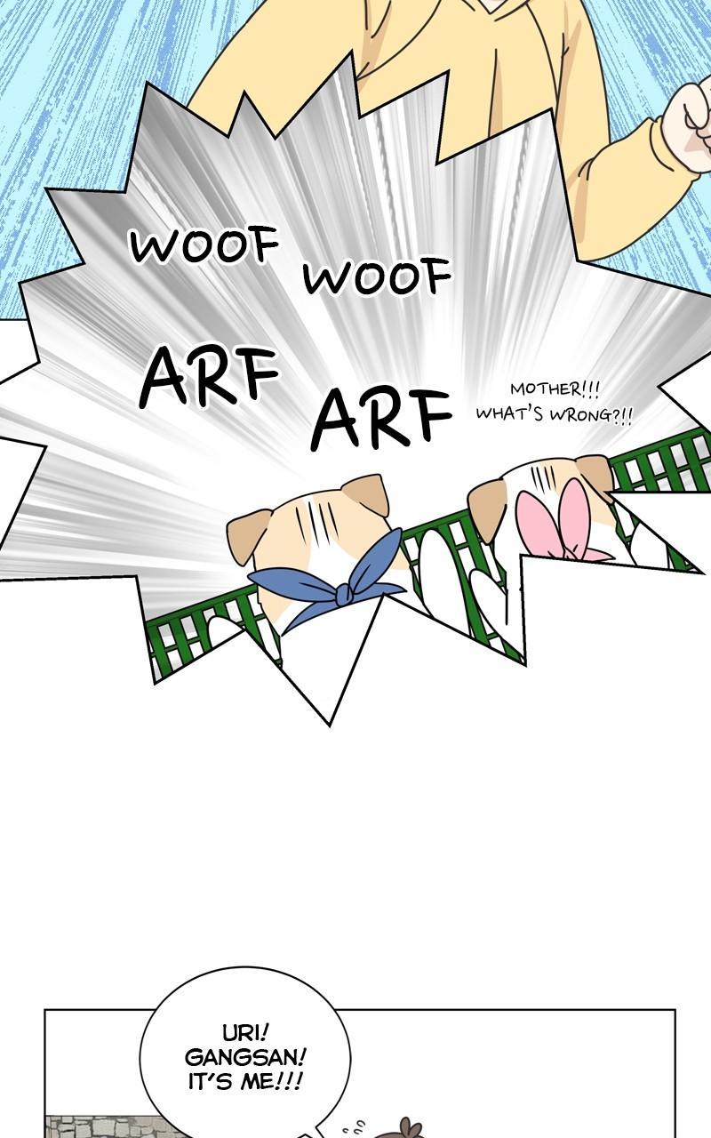 The Dog Diaries Chap 111 - Next Chap 112