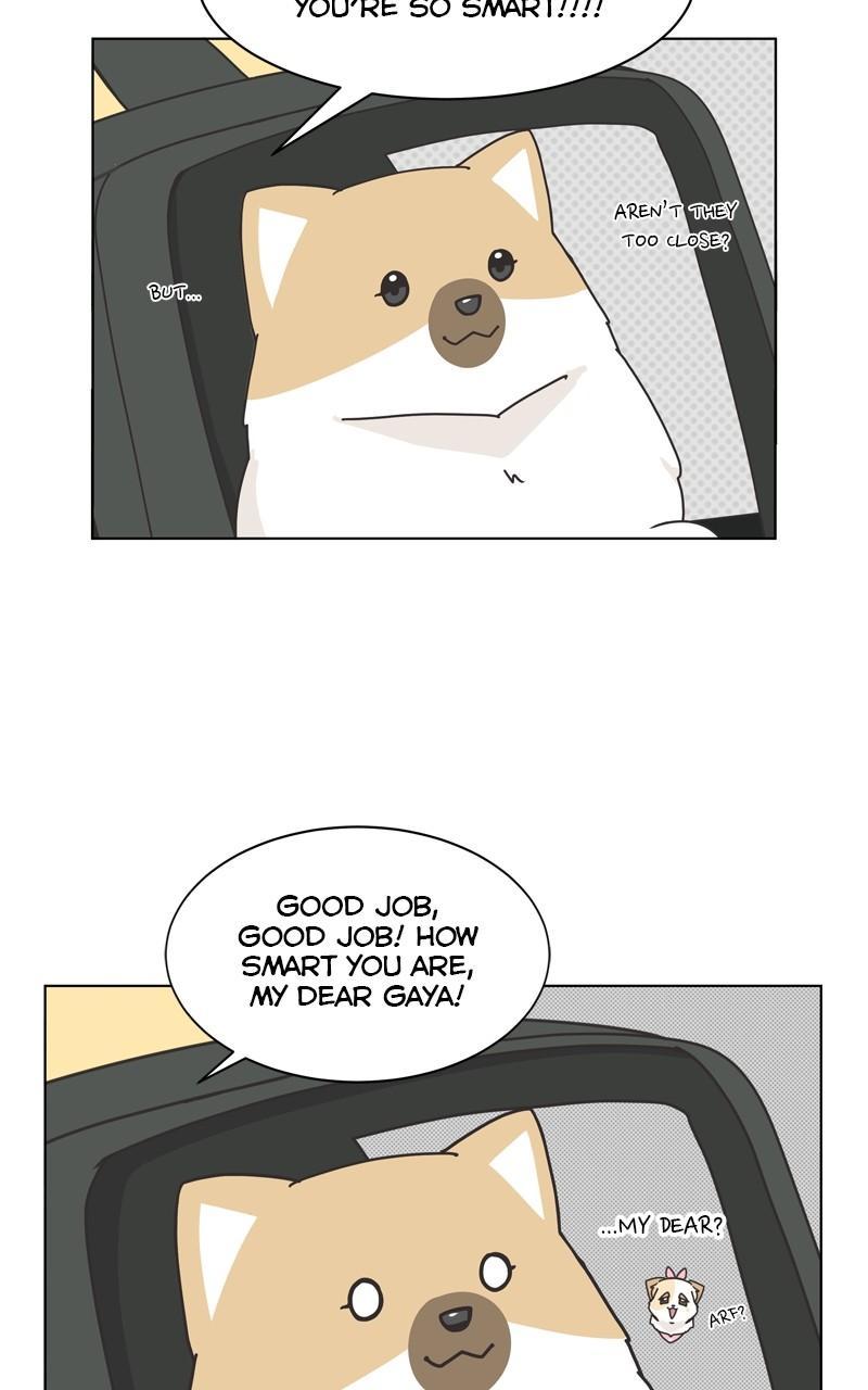The Dog Diaries Chap 111 - Next Chap 112