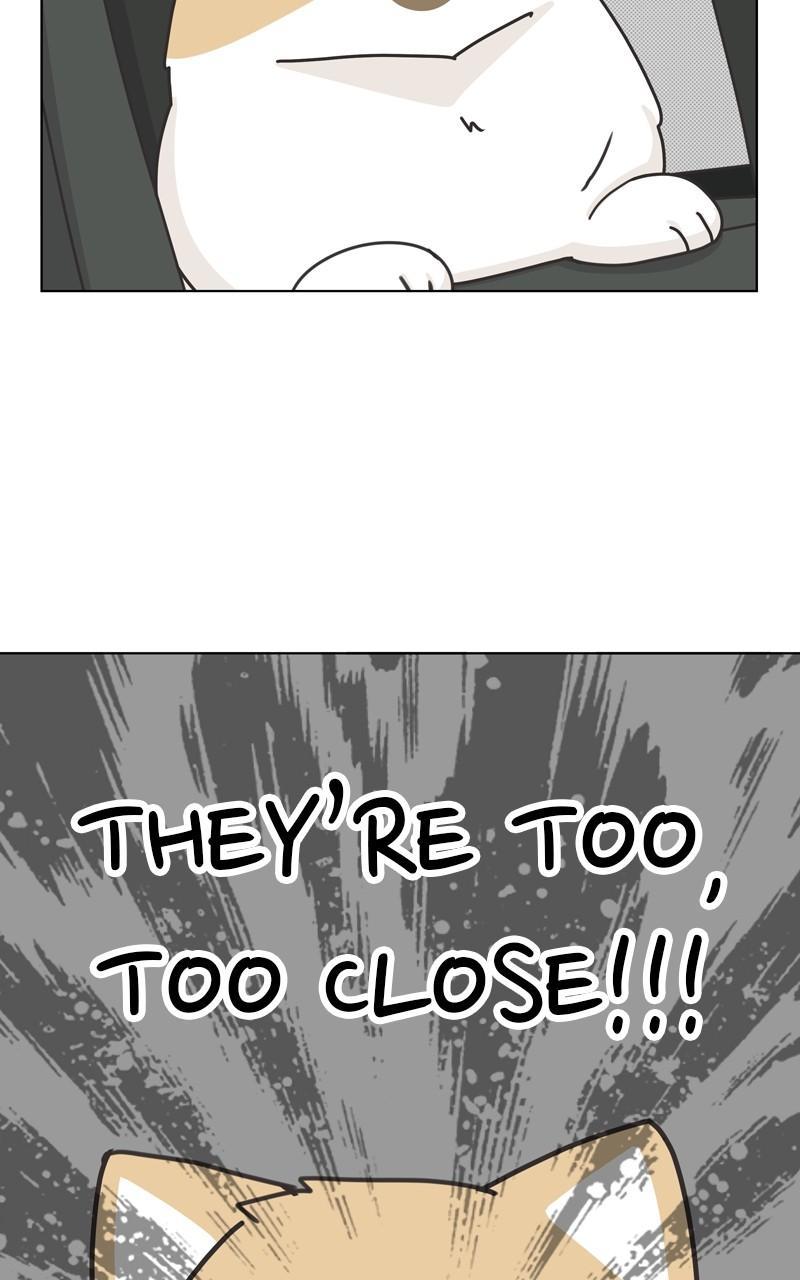 The Dog Diaries Chap 111 - Next Chap 112