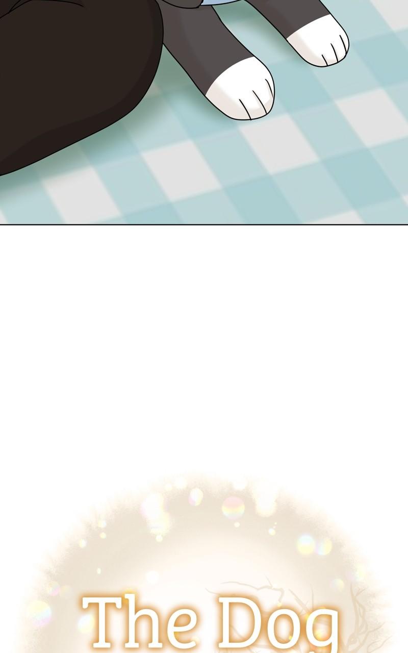 The Dog Diaries Chap 122 - Next Chap 123